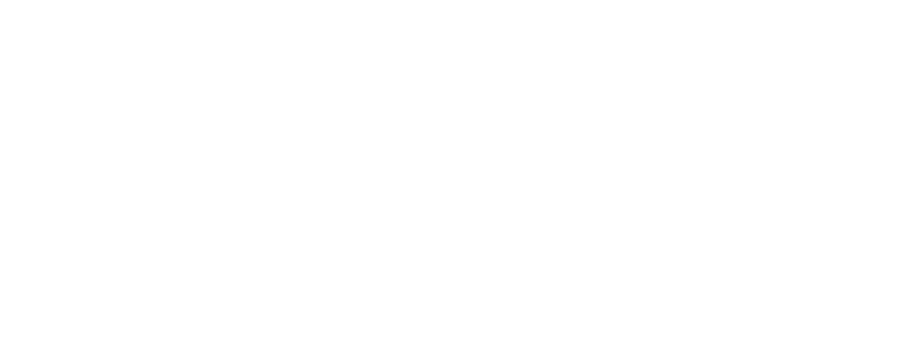 Flawgic